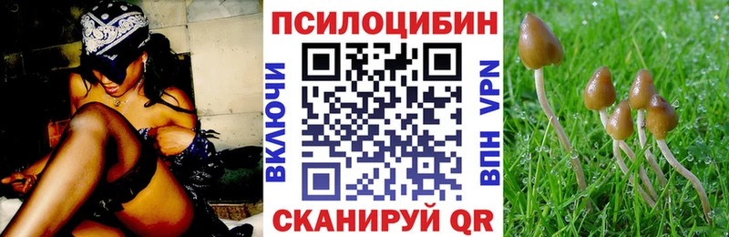 Купить где Барабинск Галлюциногенные грибы мицелий